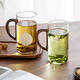 憶壺茶（YIHUTEA）玻璃杯綠茶杯帶把手加厚耐高溫家用辦公室男女士專(zhuān)用泡茶杯水杯子 【2只組合裝】貼花綠茶杯 400ml