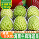 畝家田海南釋迦果新鮮現(xiàn)摘番荔枝鳳梨牛奶摩尼林檎佛頭果水果年貨禮盒 3斤大果【優(yōu)選裝】