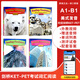 進(jìn)口原版 美國油管爆火中小學(xué)英語閱讀詞匯教材 Reading for Vocabulary 劍橋KET/PET考試閱讀詞匯拓展訓(xùn)練 全套A-D級四冊