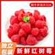 灃御園紅樹(shù)莓 覆盆子 怡顆莓樹(shù)莓【順豐空運】新鮮獨立包裝 4盒每盒約120g