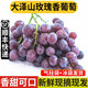 良知農(nóng)哥【順豐】山東青島大澤山玫瑰香葡萄 玫瑰香葡萄4斤
