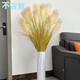 榮弘發(fā)網(wǎng)紅蘆葦草仿真花擺件大束落地花瓶插花客廳裝飾高枝假花擺放花藝  5頭蘆葦花蘆葦秋色2支高1.25米