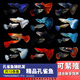 余三哥（yusange）孔雀魚(yú)活魚(yú)純種觀(guān)賞魚(yú)小型淡水好養熱帶魚(yú)活體苗斗魚(yú)胎生金魚(yú) 純種精品孔雀魚(yú)10條+2條備損