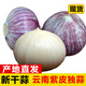 辰實【新干蒜】新鮮紫皮大蒜 云南獨頭蒜三瓣蒜 大蒜農(nóng)家蔬菜臘八蒜 1.8斤（獨頭蒜）個大