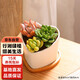 行湘多肉組合套裝DIY  奧普琳娜+黃麗+青麗+桃心陶瓷盆含托 源頭直發(fā)