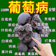 艾尚棵葡萄樹專用病全防病炭疽白粉軟腐病殺菌劑葡萄?；ū９缆浞?3瓶裝
