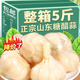正宗糖蒜糖醋蒜頭腌制大蒜頭泡菜下飯菜新蒜腌制泡蒜咸菜甜蒜嫩蒜 【三斤劃算】精品糖醋蒜500gX3袋
