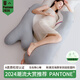 多米貝貝孕婦枕頭護(hù)腰側(cè)睡枕托腹海豚抱枕U型枕睡覺側(cè)臥枕孕用品 大海豚--PANTONE灰