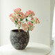 花城水調(diào)三角梅綠櫻勤花喜陽(yáng)花卉植物陽(yáng)臺(tái)庭院小盆栽廣東四季開花好養(yǎng)活 綠櫻三角梅配手工煙花盆