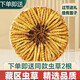 北京同仁堂官方店旗艦【送禮必看】蟲草正宗干貨冬蟲夏草2024年高檔禮盒裝 4根/克  完整草【20克裝】送兩根