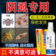 恒筱源陰虱專用藥男女士私處百部酊噴劑硫磺軟膏陰虱一掃特光虱立凈效藥 1瓶百部酊噴劑+1支硫磺軟膏