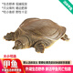 品鮮肴【活鮮】外湖野養(yǎng)生態(tài)甲魚 中華鱉團魚老鱉公鱉 現(xiàn)捕鮮活生鮮水產(chǎn) 優(yōu)質(zhì)公鱉 約1250g/只 （2.5斤）
