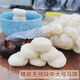格沃斯（GEWOSI）【去皮馬蹄】順豐去皮荸薺馬蹄地栗現(xiàn)挖現(xiàn)削現(xiàn)發(fā)煲湯食材 4斤現(xiàn)削現(xiàn)發(fā) 去皮大果