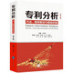 專利分析——方法、圖表解讀與情報(bào)挖掘（第2版）