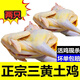 散養(yǎng)三黃雞土雞農(nóng)家走地雞小笨雞公雞母雞整只冰鮮整雞童子雞嫩雞 1只裝【特價(jià)一天】【單只800g】