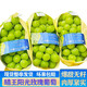 沭鮮園江蘇陽(yáng)光玫瑰葡萄當季水果整箱脆甜香印新鮮無(wú)籽時(shí)令水果禮盒 3斤整串一級果【8-10g】