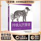 持續API管理 中國電力出版社 (美)邁赫迪·梅加維 等 著(zhù) 馬晶慧 譯 新華正版書(shū)籍包郵