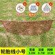 漁之源月亮網(wǎng)挑網(wǎng)伸縮桿夾網(wǎng)逋抓小魚神工具器扒蝦趕網(wǎng)搭網(wǎng)漁網(wǎng)老式竹竿 0.01m 300cm 輪胎線：寬【網(wǎng)眼】