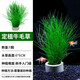 瘋狂水草（FKSC）水草活體魚(yú)缸造景套餐蜈蚣草懶人植物定植環(huán)裝飾 【陶瓷環(huán)】牛毛草