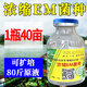 鑫恒駿 濃縮EM菌種水產(chǎn)養(yǎng)殖調(diào)水凈水魚蝦蟹養(yǎng)殖肥水改底降亞硝酸水產(chǎn)em菌 1件(20瓶)
