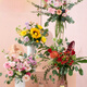 花點(diǎn)時(shí)間（Reflower）Season系列每周一花包月鮮花源頭直發(fā)花束Pro+仙境+大森林+DIY 【每周收】年度48束 周六至周日送達（周三17點(diǎn)前下單）