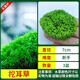 共度（Gong Du）挖耳草無(wú)菌水草杯魚(yú)缸水草植物真草造景陰性水草前景水草懶人水草 無(wú)菌杯挖耳草3杯