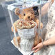 HKGX小熊玩偶公仔永生玫瑰花束生日禮物女生送閨蜜男生2.14情人節禮物 經(jīng)典盒子裝【抱抱熊30cm】燈賀卡