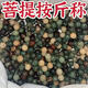 菩提根散珠按斤稱天然菩提子diy手串珠有芽眼無染色菩提手工編織 【卡14mm】 100顆【送彈力線】