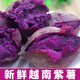 澮爺正宗越南珍珠小紫薯2025新鮮紫薯紫心紅番薯粉糯香甜孕婦老人寶寶 小紫薯3斤小果