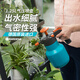 嘉丁拿（GARDENA）德國進(jìn)口嘉丁拿消毒噴壺氣壓噴水壺小型噴霧器園藝花園灑水澆花壺 1.25L氣壓噴壺