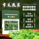 常見蔬菜病蟲害診斷與防治彩色圖鑒 蔬菜種植栽培技術(shù) 蔬菜病蟲害圖譜 中國農(nóng)業(yè)科學(xué)技術(shù)出版社