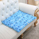 緣初 冰墊水墊夏季辦公椅墊汽車(chē)坐墊沙發(fā)墊防褥瘡老年人水袋清涼墊 天藍雪花75CM*75CM
