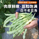 密農(nóng)人家 農(nóng)家白不老豆角 東北白豆角 燉肉豆角新鮮蔬菜 白不老蕓豆角400g
