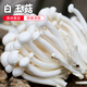密水農(nóng)家密云農(nóng)家 白玉菇 新鮮蘑菇農(nóng)家自種110g