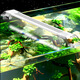 森森（SUNSUN） 魚缸燈LED燈 水族箱照明燈 魚缸夾燈 草缸燈  水族照明設(shè)備 ADP80C配15-20cm魚缸1.5W