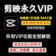 剪映會員svip手機電腦版專業(yè)版會員濾鏡付費模板特效軟件 安卓/華為永久會員軟件