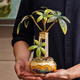 羅比羅丹創(chuàng)意發(fā)財(cái)樹(shù)擺件琺瑯彩工藝禮品電視柜 博古架擺件 商務(wù)開(kāi)業(yè)禮品 大號(hào)