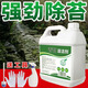 青苔清除劑大桶5斤去青苔劑地面青苔凈洗水池除青苔去除劑水泥地青苔苔蘚清除劑滅藻劑 5斤