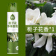 嘉寶（GarBath）酒店賓館空氣清新劑凈化劑除臭芳香劑留香噴霧持久家用室內(nèi)香氛 梔子花香