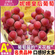 智宙 妮娜皇后葡萄 時(shí)令生鮮水果 紅寶石無(wú)籽紅提中秋過(guò)節禮盒裝1斤嘗鮮裝【吃一顆 戀一生】