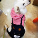 DADAGOU狗狗衣服絨條紋背帶褲春天秋冬季裝加幼小中大型犬成犬泰迪金毛 玫紅背帶條紋褲 3XL【14-20斤/背長(cháng)40/胸圍59】