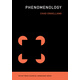 現貨 英文原版 現象學(xué) MIT新概念知識讀本 Phenomenology (MIT Press Essential Knowledge series)