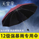 天堂傘大號雨傘10骨加大加固男女雙人晴雨兩用學(xué)生傘折疊定制印刷logo 酒紅-晴雨兩用10骨加固直徑108cm