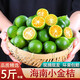 譯優(yōu)農(nóng)海南青金桔小青檸小青柑奶茶店小金桔小青桔新鮮水果 2斤海南青金桔【實(shí)惠裝】