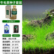 瘋狂水草（FKSC）魚缸造景水草種子水族箱裝飾前景草迷你小對(duì)葉草坪活體真水草 牛毛種子套餐