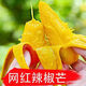 梔舒多倉發(fā)貨 海南辣椒芒熱帶芒果孕婦水果網(wǎng)紅牙簽芒小芒果  2份合發(fā) 辣椒芒 4-4.25斤/