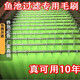 漁師傅錦鯉魚(yú)池過(guò)濾綠色毛刷黑色毛刷魚(yú)池過(guò)濾錦鯉魚(yú)池毛刷倉過(guò)濾材料 綠色30CM毛刷 10支