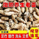 濱隴堂老姜母斷碎姜泡腳姜養生理療艾灸專(zhuān)用黃姜老姜生姜 凈重3斤【新鮮】小家庭理療專(zhuān)用 【非食用】斷碎姜 泡腳理療專(zhuān)用姜