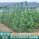 衛東包塑鋼管支架桿家用植物花架子室外庭院架桿豆角黃瓜爬藤架番茄架 直徑16mm長(cháng)210cm【10支裝】