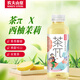 農夫山泉茶派茶π500ml*15瓶 果味茶飲料整箱裝茶兀 西柚茉莉500ml*15瓶